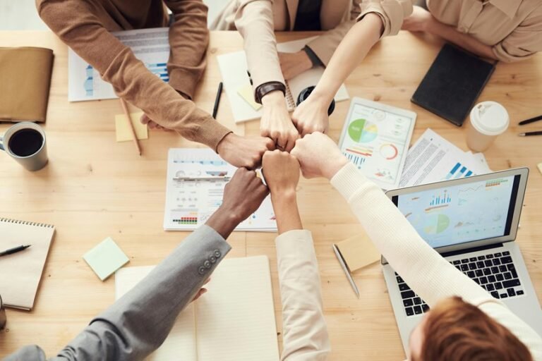 resilient financial models development