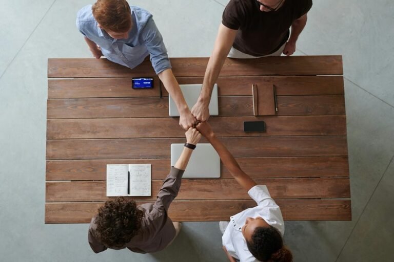 resilient financial models development