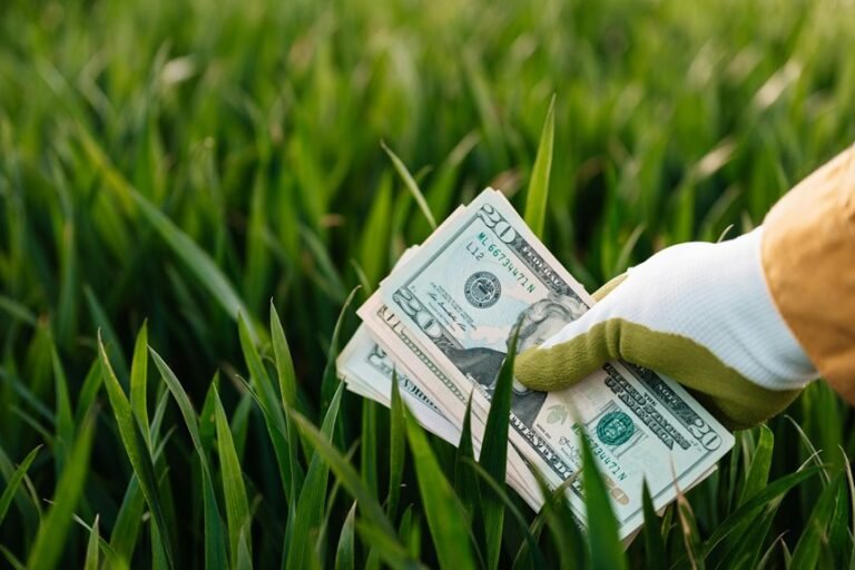 sustainable financial systems optimization
