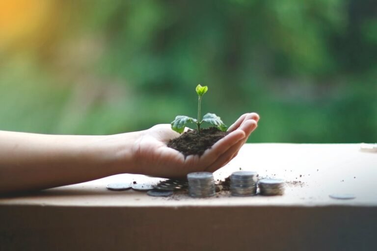 sustainable growth financial planning