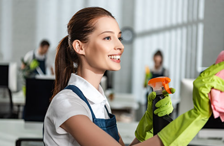 Maintaining Spotless Spaces with Expert Assistance